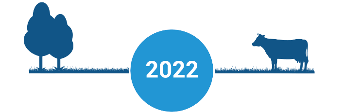 2022 image